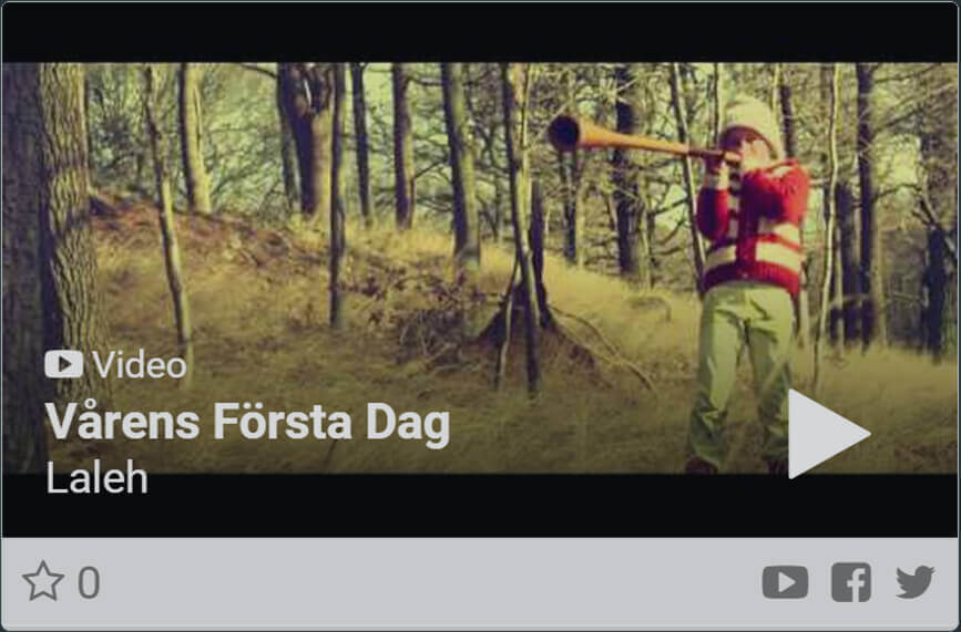 The Radio Hub Video Card